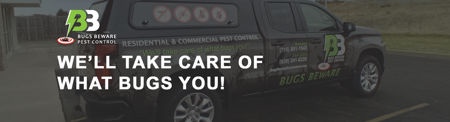 Bugs Beware Pest Control Company Services Bugs Beware Pest Control Company Services